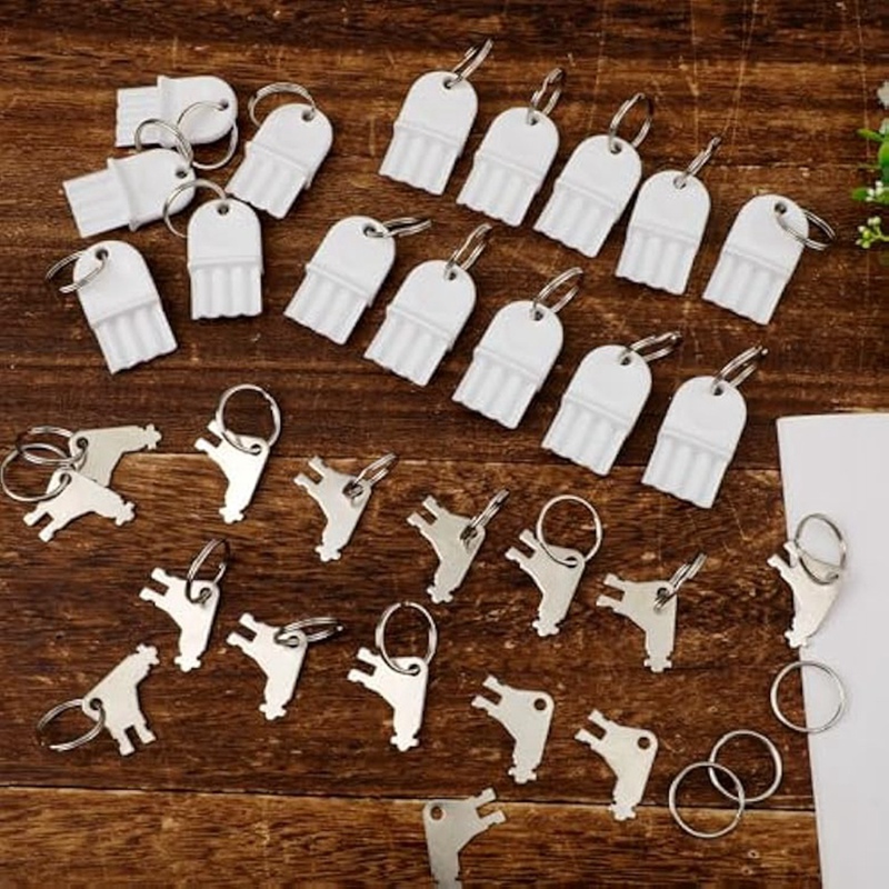 30pcs Hand Towel Dispenser Key - Toilet Paper Holder recension och pris