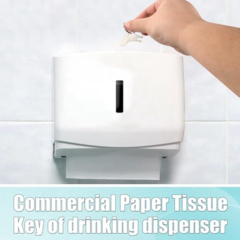 30pcs Hand Towel Dispenser Key - Toilet Paper Holder recension och pris